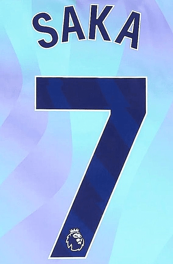 Arsenal Mavi Yeni Sezon Forma